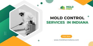 Mold Control Services