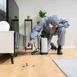 bug- cleaning