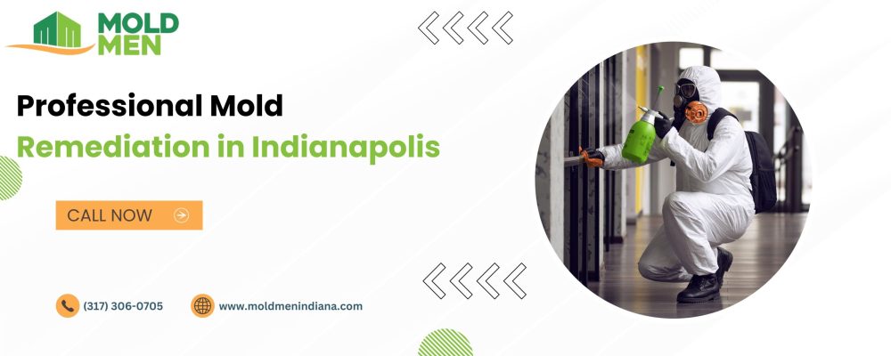 Professional Mold Remediation in Indianapolis